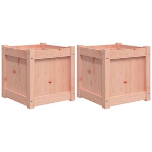 vidaXL Jardinières 2 Pièces bois massif douglas