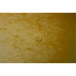 Trieur Agrafé Avec Élastiques 12 Compartiments - Jaune - X 8 - Exacompta