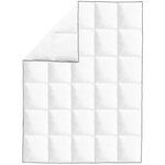 vidaXL Couette en duvet d'hiver 135 x 200 cm