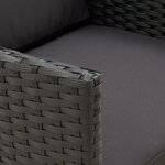 vidaXL Chaises de jardin lot de 2 avec coussins Résine tressée Noir