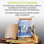 ACROPAQ 6 Toiles à Peindre avec châssis 30 x 40 cm- Surface en Coton de qualité supérieure 280 g/m²- Conforme FSC sans acide