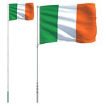 vidaXL Drapeau de l'Irlande et mât 5 5 m Aluminium