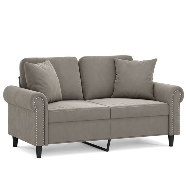 vidaXL Canapé 2 places oreillers et coussins Gris clair 120 cm Velours