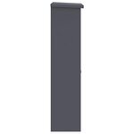 vidaXL Boîte de dépôt de colis Anthracite 44.5 x 29 x 110.5 cm Acier