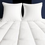 vidaXL Couette en duvet d'hiver 150 x 200 cm