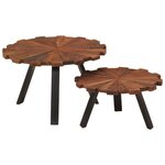 vidaXL Tables basses 2 Pièces bois massif récupéré et fer