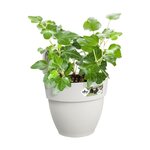 Pot de fleurs balcon extérieur 24 x 20 5 x hauteur 26 5 cm - Blanc soie