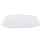 vidaXL Oreillers 2 Pièces Blanc 80 x 80 cm 85gsm 100  polyester