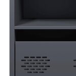 vidaXL Buffet anthracite 35x39x73 5 cm acier laminé à froid