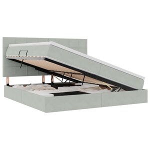 vidaXL Lit avec rangement et LED Gris clair 200 x 200 cm Velours