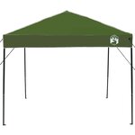 vidaXL Tente à auvent pop-up Vert 250 x 250 cm tissu