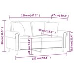 vidaXL Canapé 2 places oreillers et coussins Gris clair 120 cm Velours