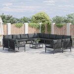 vidaXL Ensemble de canapé de jardin 13 Pièces Anthracite Acier