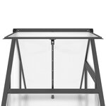 vidaXL Serre avec cadre de base anthracite 169x58x202 cm aluminium