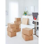 Lot de 3 rouleaux Adhésifs Polypropylènes 66 m x 50 mm Marron x 12 TESA