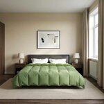 vidaXL Duvet complet toute l'année Vert 240 x 260 cm Microfibre