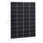 Vidaxl panneaux solaires 2 pcs 100 w monocristallin verre de sécurité