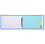 Clas. 2ax + interc. PP 165X245 25mm ass. EXACOMPTA