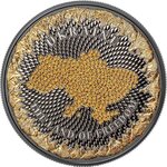 Pièce de monnaie en Argent 1000 Satoshi g 31.1 (1 oz) Millésime 2026 United Crypto States UKRAINE LAND OF FREEDOM