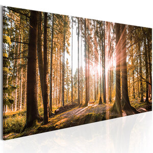 Tableau - small natural wonders  l x h en cm 150x50