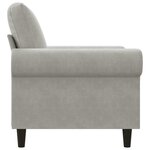 vidaXL Fauteuil Gris clair 60 cm Velours
