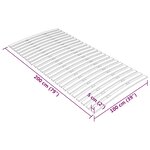 vidaXL Latte de rechange pour sommier avec 24 lattes 100 x 200 cm