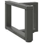 vidaXL Pieds de table basse en T  2 pièces  anthracite  50 x 25 x (30-31) cm  acier