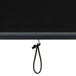 vidaXL Store roulant d'extérieur 60 x 250 cm Anthracite