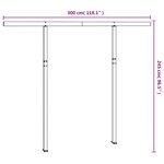 vidaXL Jeu de poteaux d'auvent anthracite 300x245 cm fer