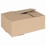 vidaXL Boîte Pliable 50 pièces Naturel 25 x 17 5 x 10 cm Carton