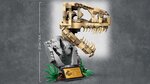 LEGO® Jurassic World 76964 - Set d'Aventure Préhistorique pour Amateurs de Dinosaure