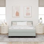 vidaXL Lit à ressorts avec matelas Gris clair 160 x 200 cm Velours