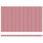 vidaXL Auvent Rétractable Rayure rouge et blanche 500x300 cm tissu