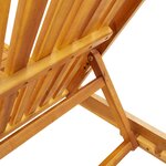 vidaXL Transat 1-personne 2 Pièces Marron Bois d'Acacia Massif