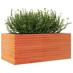 vidaXL Jardinière cire marron 110x60x46 cm bois de pin massif