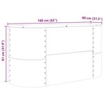 vidaXL Jardinière surélevée Marron 160 x 80 x 81 cm Acier