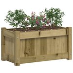 vidaXL Jardinières 2 Pièces bois de pin imprégné