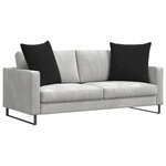 vidaXL Coussins de canapé 2 Pièces Noir 80 x 80 cm