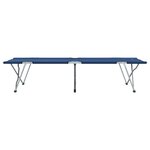 vidaXL Lit de camping pliant Bleu Métal  Tissu Standard Pliable