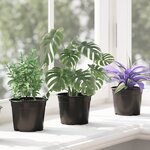 vidaXL Pot à fleurs 100 Pièces Noir Ø 15 x 12 5 cm Plastique