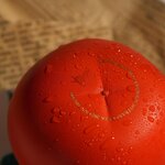 Pièce de monnaie en Cuivre 100 Francs g 400 Millésime 2025 PERSIMMON 3D
