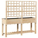 Jardinière vidaXL avec treillis et étagère 161x43x152 cm en bois massif de sapin