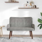 vidaXL Sofa 2 places Gris clair 115 x 61 x 87 cm Velours (V)