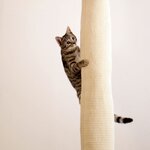 Kerbl Sac d'escalade pour chat 240 cm Beige
