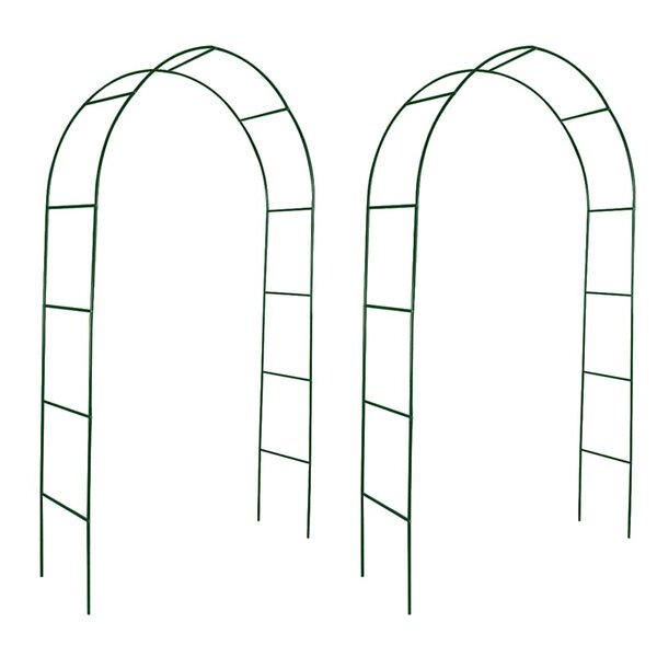 vidaXL Arche de jardin 2 Pièces pour plantes grimpantes