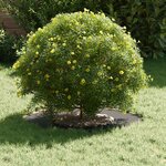 vidaXL adapté pour anneau d'arbre plat Noir Ø30 / 60 cm Acier