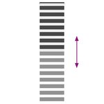 vidaXL Store zèbre noir 50x230 cm largeur du tissu 45 9 cm polyester