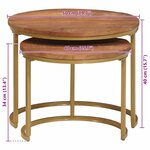 vidaXL Tables basses gigognes 2 Pièces Bois de mangue massif et acier