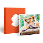 SMARTBOX - Coffret Cadeau Journée au Parc Zoologique d'Amnéville pour 2 adultes - Sport & Aventure