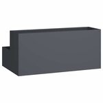 vidaXL Cache-pot de jardin Anthracite 100 x 60 x 45 cm Acier